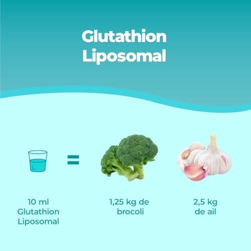 Bandini® Glutathion Liposomal 250 ml - Forme Active L Glutathion Réductase (GSH) Liquide - Puissant Antioxydant & Anti-âge - Protection Cellulaire Optimale - 100% Vegan Sans OGM - Avec Bouchon Doseur