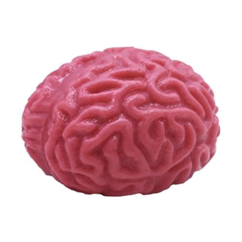Balle de Cerveau À Presser, Balles Anti-Stress Cérébrales Spongieuses, Jouet À Presser Le Cerveau Humain pour Soulager Le Stress, Jouet de Cerveau Humain en Latex, Jouet de Faux Cerveau