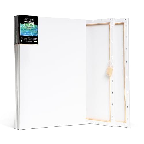Elan Toile à Peindre 40x60, 100% Coton 6-Pack de Toiles Pré étirées, Toile Peinture, Toile Vierge, Canvas Toile Peinture, Toiles Peinture, Toiles à Peindre, Chassis Entoilé, Toile a Peindre