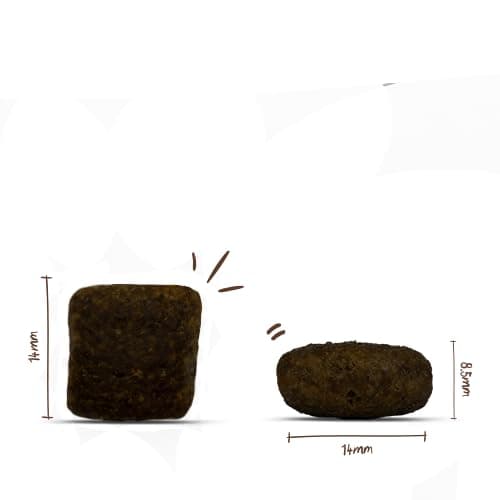 bosch HPC PLUS Truite et pomme de terre - Croquettes pour chiens adultes de toutes races - Monoprotéines - Sans céréales - 1 x 2,5 kg