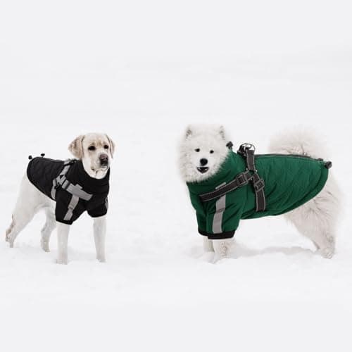 CITÉTOILE Manteau Chaud pour Chien, Veste Coupe-Vent pour Chien par Temps Froid, vêtement d'hiver pour Chien avec Fermetures éclair et Poignets Amples, Verte, XS