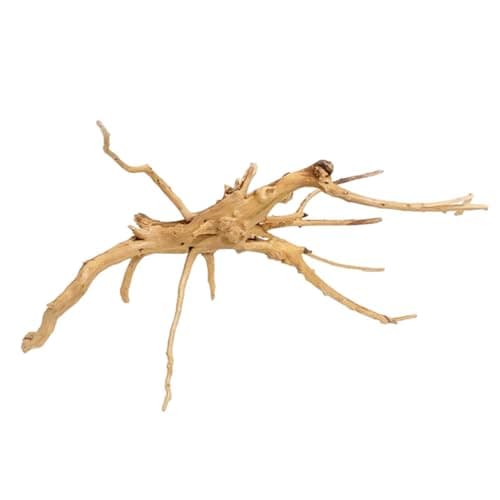 Fulenyi Plantes d'aquarium, Racine d'arbre en Bois flotté, décoration en Bois flotté, Branches en Bois Massif, décoration de Terrarium, Accessoires pour Petits Poissons