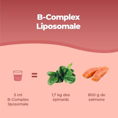 Bandini® Vitamine B Complex Liposomale 250 ml | Supplément liposomique | Complexe de Vitamines group B à dosage élevé B1, B2, B3 (niacine), B5, B6, B7, B9, B12 | B-Complex pour le système immunitaire
