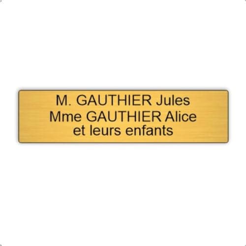 Plaque boite aux lettres, étiquettes de porte personnalisables, enseigne autocollante nom personnaliser - argent/or - dans la taille standard 100 x 25mm - plaquette de sonnette -