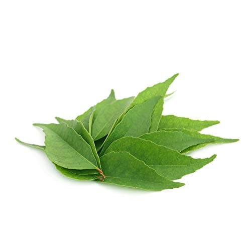 FER D'ORIGINE VÉGÉTALE (Kaloupilé)* 233.5 mg / 60 gélules * Carences (hémoglobine), Energie (fatigue), Immunitaire