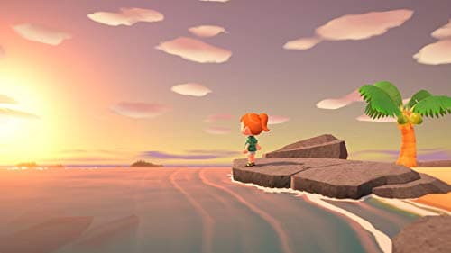 Animal Crossing : New Horizons pour Nintendo Switch
