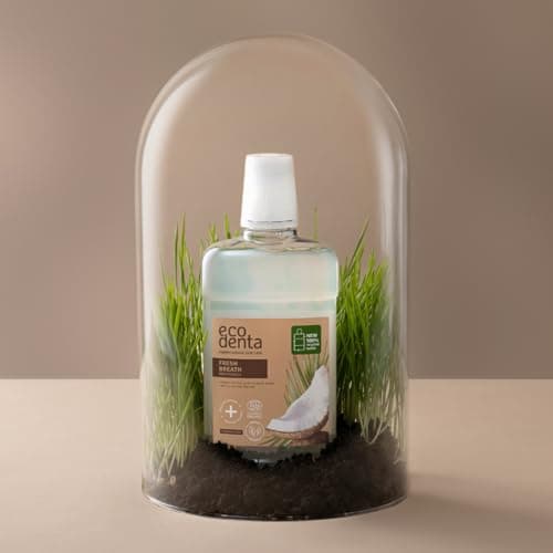 Ecodenta Bain de Bouche Antibactérien - Bain de Bouche sans Fluor - Bain de Bouche à la Noix de Coco Certifié Bio Sans Alcool Lutte Contre la Mauvaise Haleine 500 ml