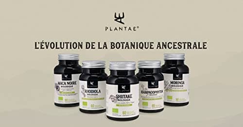 Harpagophytum bio * Plantae * 60 gélules végétales * Anti-inflammatoire naturel + Santé articulaire + Système digestif *