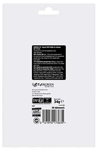 Fertiligène FBPV - Engrais Bâtonnets Nutritifs x 40 - Pour des plantes plus vertes - Formule avec oligo-éléments - Jusqu'à 8 semaines de nourriture - en pots et jardinières