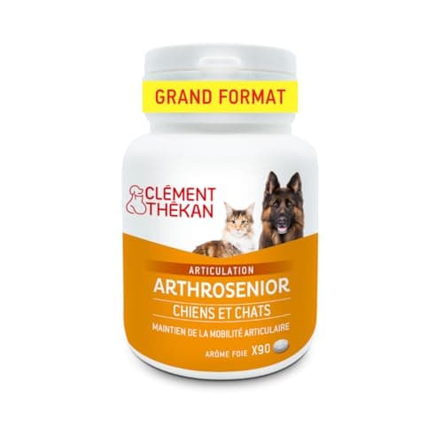 Clément Thékan Arthrosenior Grand Format - Aide à la mobilité articulaire chez le chien et le chat - Stimule la régénération du cartilage - 90 comprimés sécables aromatisés