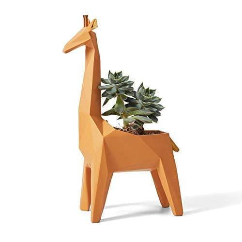 Amoy-Art Succulent Planteur Giraffe Arts Statue Animal Cadeau Décor Moderne Figurine Sculpture Maison Décoration Résine Cactu Pot 23cm