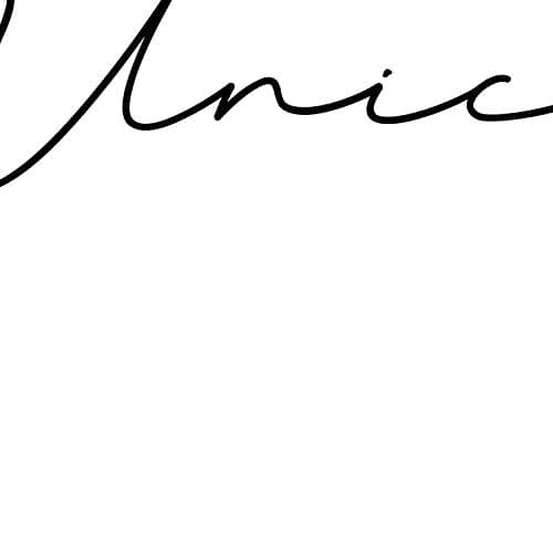 Nacnic le film avec la définition de mots en italien. Poster « Unico » des mots avec les définitions. format A3 ENCADRES