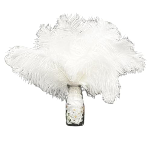 12Pcs Plumes d’Autruche Blanches 10-12inch(25-30cm),Naturelles Plumes d’Autruche pour l'artisanat Masque DIY Plumes pour Vase de Table Bureau Maison Anniversaire Mariage Fête Décoration