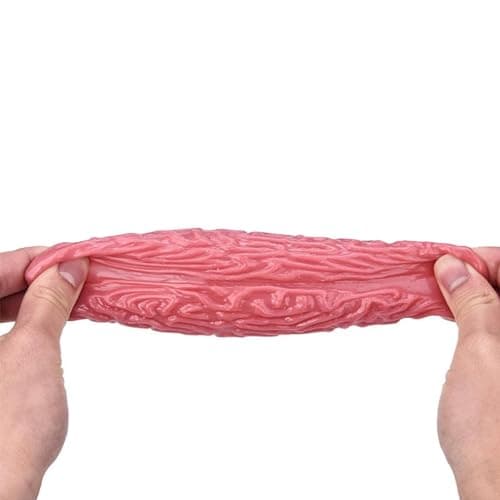 Balle de Cerveau À Presser, Balles Anti-Stress Cérébrales Spongieuses, Jouet À Presser Le Cerveau Humain pour Soulager Le Stress, Jouet de Cerveau Humain en Latex, Jouet de Faux Cerveau