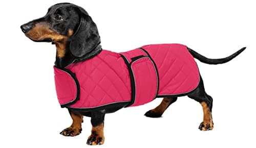 Geyecete-Manteau Chaud imperméable pour Teckel, Manteau d'hiver pour Chien avec Doublure en Polaire Chaude et Bandes réglables,l'hiver Veste pour Petit et Moyen Chien-Rose-S