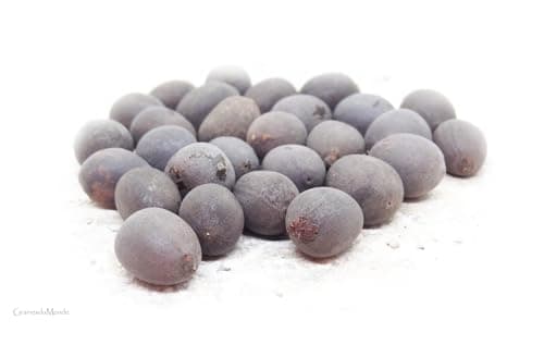 25 grammes de graines de Lotus sacré (Nelumbo nucifera) soit environ 25 graines brutes, non percées, non traitées, viables, récoltées en Inde