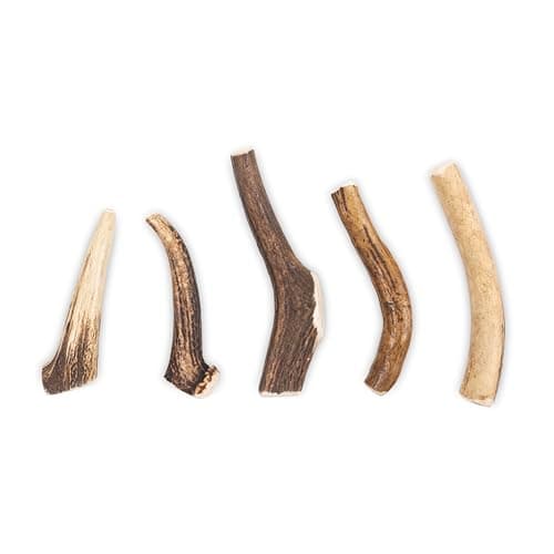 RF - Deer Bois de Cerf élaphe M (Lot de 5), Hard, 100% Naturel Bâtonnets Jouets à mâcher naturels pour Chien, Mâcher des os pour Le Plaisir et Les Soins dentaires, favorisant l'hygiène Dentaire