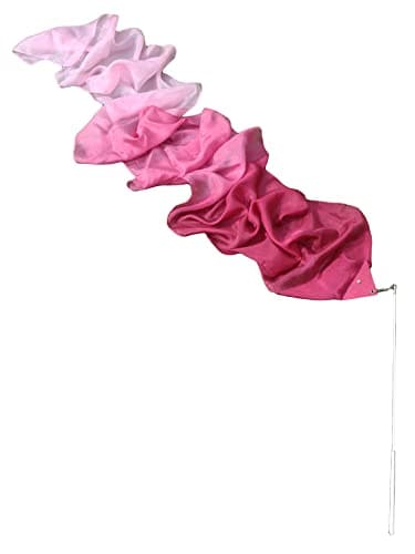 Winged Sirenny 250cm Ruban Bâton de Gymnastique en Soie Véritable, Accessoire de Danse et Soie de Jeu (dégradé Bordeaux)