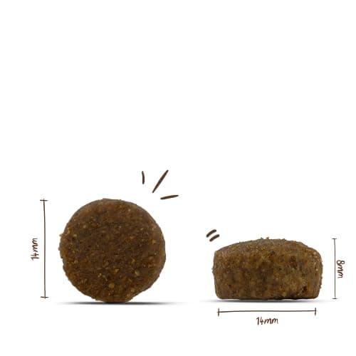 Sanabelle Grande - Aliments secs pour chats adultes (particulièrement adaptés aux grandes races) - 1 x 10 kg