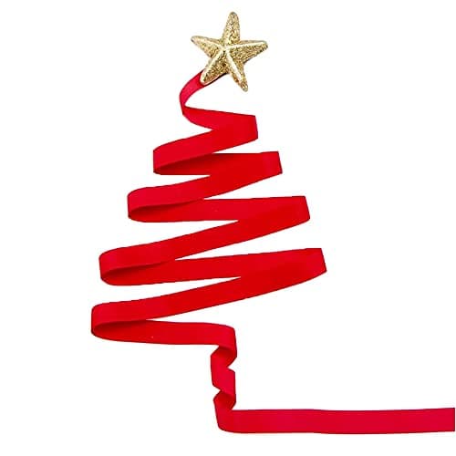 NOVAGO-2 Rouleaux 22 M ruban satin largeur 2 cm -Décoration pour Fleurs, cadeaux, Mariage, fêtes. (Rouge)
