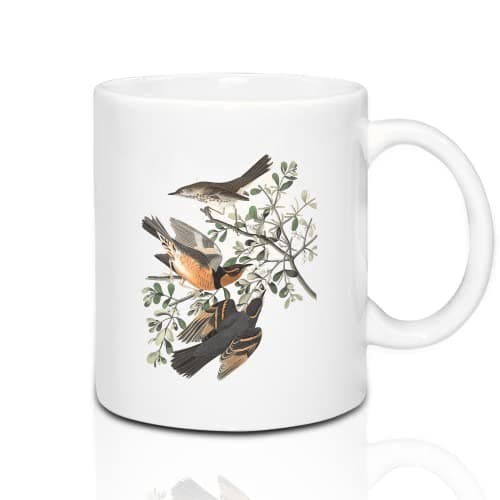 Sumex 11 oz Ensemble de 12 Blanc tasses à sublimation, Céramique Personnalisé Mugs et Tasses à café pour Cadeau Collègue Idée Cadeau Original, Humour Femme