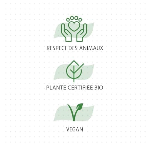 A.VOGEL Immunité - Echinaforce famille – Complément alimentaire – Améliore la résistance de l’organisme - Extrait de plante fraîche d’echinacea – Actifs végétaux bio – Immunité - 400 comprimés