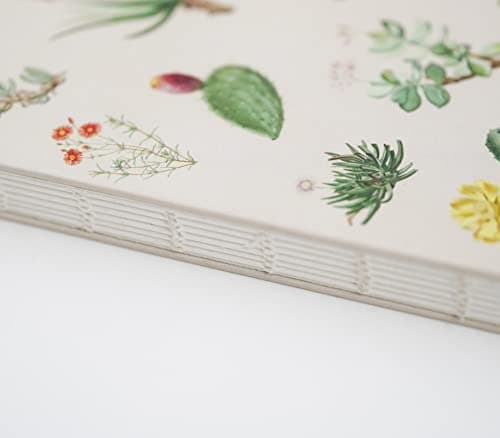 Grupo Erik - Carnet de Notes A5 Botanical Cacti, Pages Pointillées, Couverture Rigide, Notebook, Bullet Journal, Cahier de Notes, Carnet de Voyage