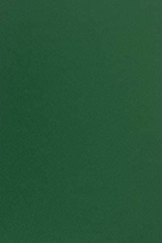 Netuno 25x papier cartonné vert foncé A4 210x297mm 210g Sirio Color Foglia papier épais de couleur pour tickets anniversaire mariage invitations bricolage Noël cartes de vœux brochures cartes de menu