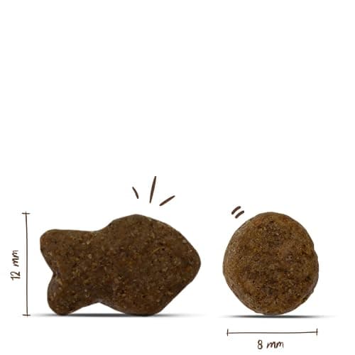 bosch HPC Adult avec poisson et pommes de terre - Croquettes pour chiens adultes de toutes races - 1 x 15 kg