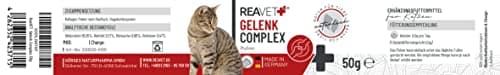 Poudre pour articulations ReaVET pour Chats I L'alternative aux comprimés pour articulations - très Bonne Acceptation - remède spécial pour Les articulations des Chats