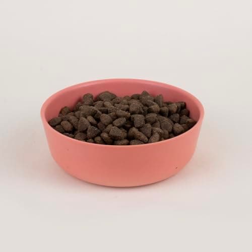 Franklin – Croquettes pour Chien – Gamme Protéinée – avec 70% de Saumon – Mono-protéine – sans Céréales – Peau et Pelage – Forme Triangle 11mm – 6 kg