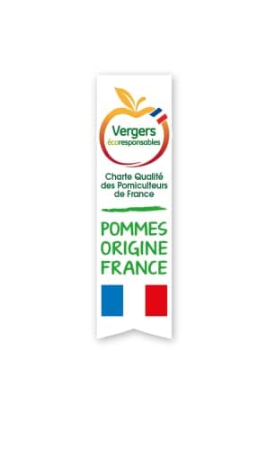 POM'POTES Compote Gourde Sans Sucres Ajoutés Pomme/Pomme Poire/Pomme Banane Fraise 28x90 g, Vert