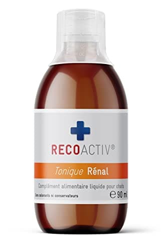 RECOACTIV Tonique Rénal pour Chats, 1 x 90 ML, complément Alimentaire pour la Convalescence en Cas de Signes précoces de Troubles de la Fonction rénale du Chat Ainsi Que pour la prophylaxie