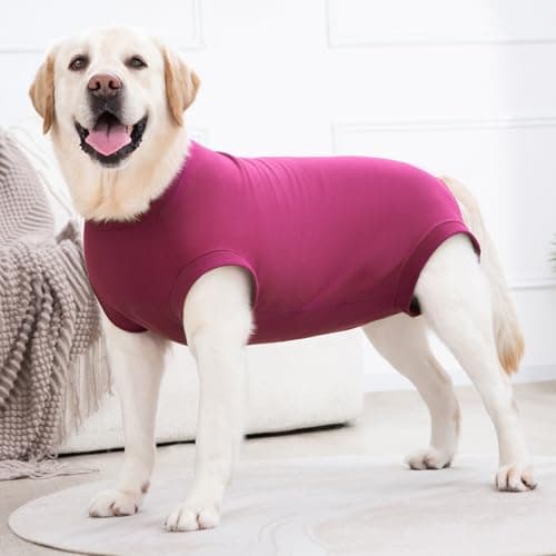 Axcimond Combinaison de Recuperation Chien Body Chien Post Operatoire Protection Chien Body Chirurgical Chien Body pour Chien Femelle Male après Stérilisation Alternative au Collerette Chien Operation