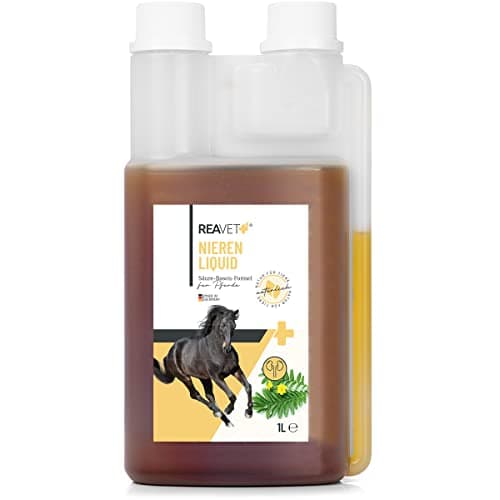 ReaVET Kidney Liquid pour Chevaux 1L - Mélange à Base de Plantes 100% Naturel pour Soutenir la Fonction rénale, pour Les problèmes métaboliques, pour Le Foie et Les Reins surchargés