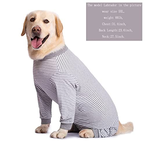 Yeapeeto Body Chien Post Operatoire Combinaison de Convalescence chirurgicale pour Chiens de Grande Taille et Moyenne (Gris,2XL)