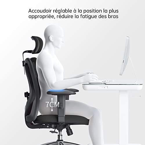 SIHOO Chaise de Bureau, Siege de Bureau Ergonomique avec Support Lombaire et accoudoir réglable, Fauteuil de Bureau d'une capacité maximale de 150 kg