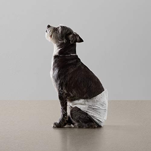 Amazon Basics Lot de 30 Couches jetables pour Chien mâle, Taille S, Blanc
