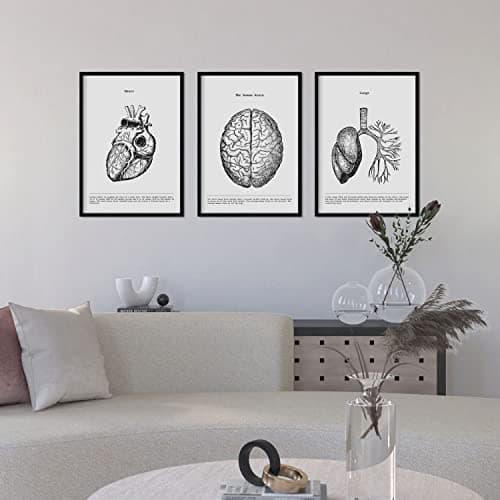 Nacnic Ensemble de 3 Affiches d'anatomie en Noir et Blanc avec des Images du Corps Humain. Pack de fiches sur la biologie avec Cœur, Cerveau et Poumons. Format A3. sans Cadre.