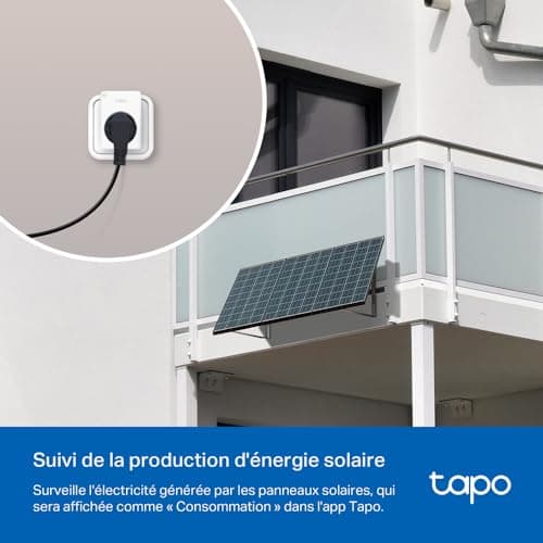 Tapo Prise Connectée WiFi, Suivi de consommation, 16A Type E, compatible avec Alexa et Google Home, Contrôler le radiateur, le chauffage, Économie d'énergie, Commande vocale, Tapo P110(FR)