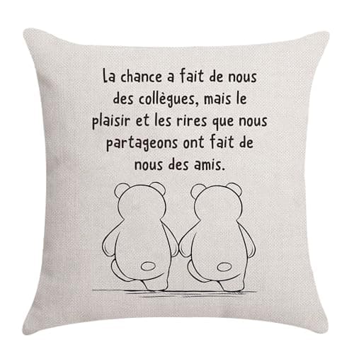 Cadeau pour Les collègues Cadeau d'appréciation pour Les collègues Cadeau d'adieu Housse de Coussin Amusante pour Les collègues Anniversaire Cadeau de Noël (collègue-b)