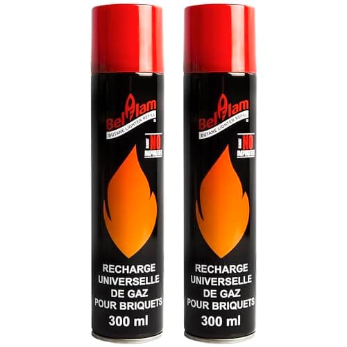 Lot 2 recharges de gaz 300 ml pour briquets et chalumeau de cuisine