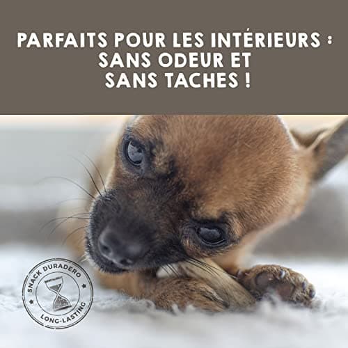 MAIKAI Lot de 2 Bois de Cerf Tranché pour Chien Taille XL - Os à Mâcher pour Chien a partir de 35 kg - Corne de Cerf Résistant - Favorise l'Higiéne Dentaire et l'Haleine - Jouet Naturel pour Chien