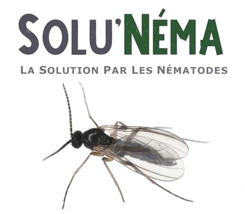 SOLUNEMA - Nématodes SF Contre Les Mouches du Terreau 5 millions - Formulation Gel Longue Durée pour traiter de 20 à 25 pots - Traitement biologique et efficace - efficacé redoutable