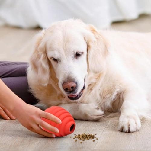 Jouet distributeur de friandises pour chien, jouets distributeurs de friandises pour chien - Balle interactive de friandises pour chiens | Jouets interactifs de distribution de friandises pour chiens,