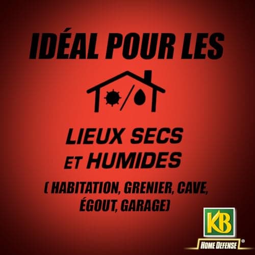 KB HOME DEFENSE RSOUPAT - Pâtes Anti-Rats et Souris 120 g - Action radicale - Actif dès la 1ère ingestion- Spécial lieux secs et humides -12 sachetsx10g pour emploi- jusqu'à 4 stations d'appâtage