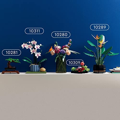 LEGO 10309 Icons Les Succulentes: Plantes Artificielles, Décoration de Maison, Collection Botanique, 9 Petites Plantes, Idéal pour Intérieur, Modèle de Plantes pour Adultes