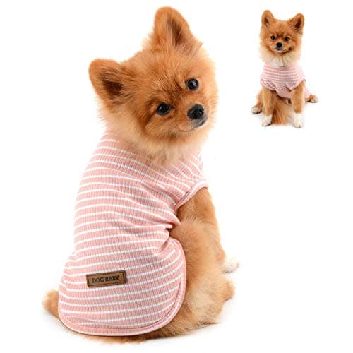 PAIDEFUL Vêtements pour Petits Chiens Garçon Fille été rayé Chiot t-Shirt Gilet Respirant Coton t-Shirt sans Manches Chihuahua Yorkshire Rose M