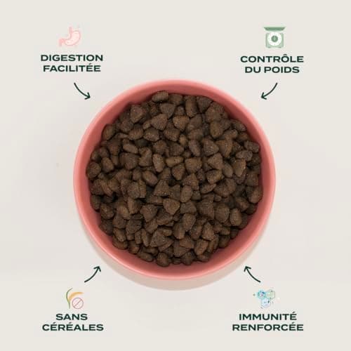 Franklin – Croquettes pour Chien – Gamme Protéinée – avec 70% de Saumon – Mono-protéine – sans Céréales – Peau et Pelage – Forme Triangle 11mm – 6 kg
