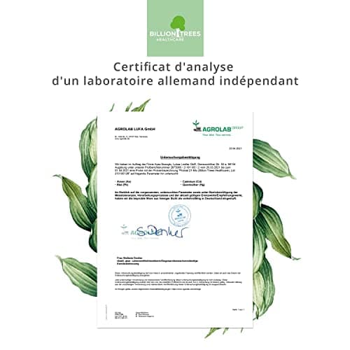 Probial 21 Mix | 21 souches bactériennes + maximum d'inuline | 180 gélules à enrobage entérique (DRcaps ®) | Dosage idéal de bactéries et d'inuline | Vegan | Transformé et testé en Allemagne